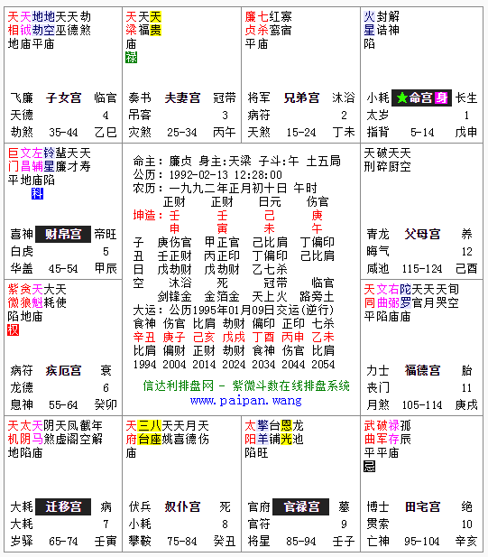 免费紫薇命盘