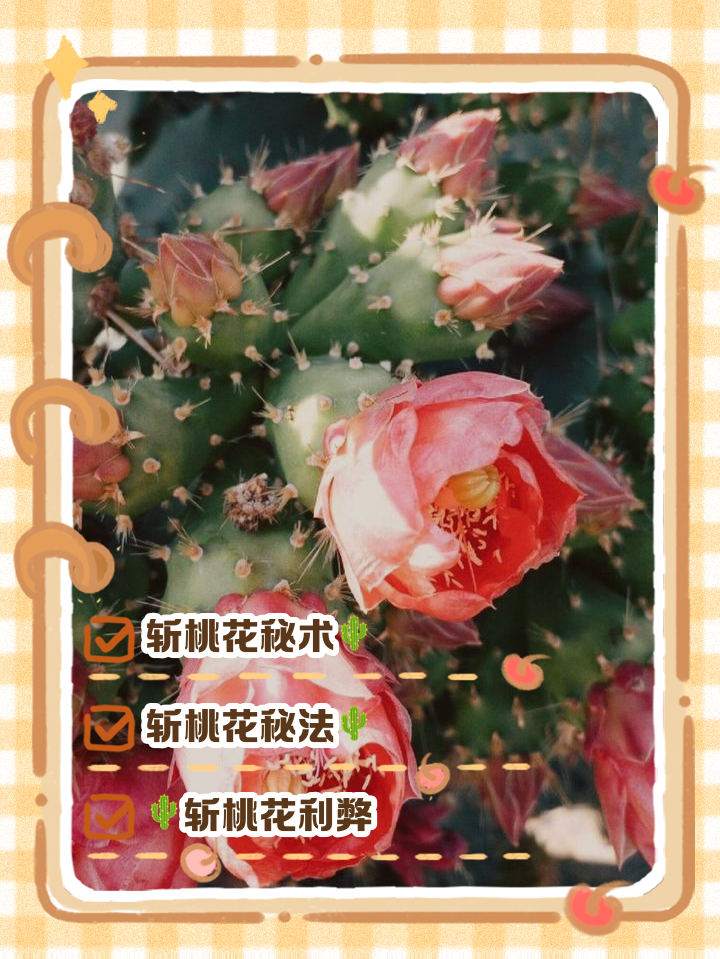 怎么斩断烂桃花