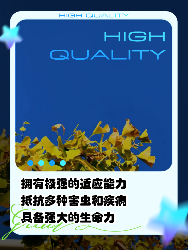 树有寿命吗