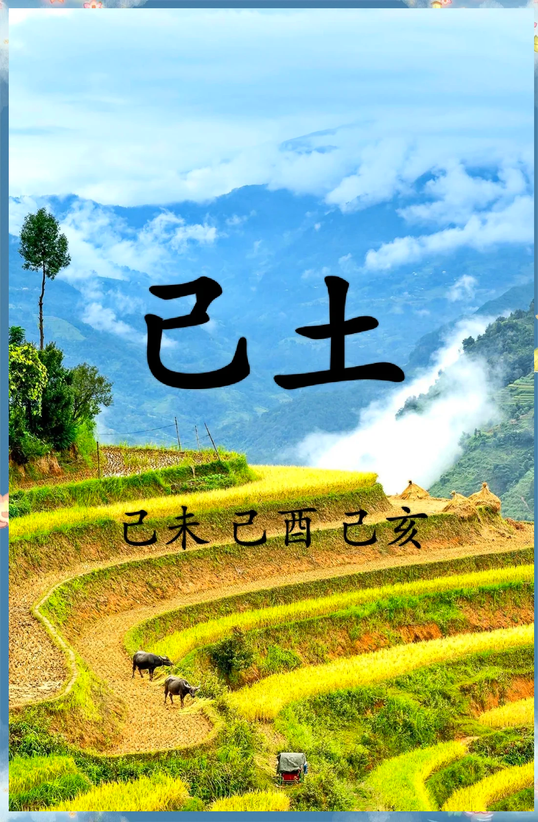 己未日柱男命