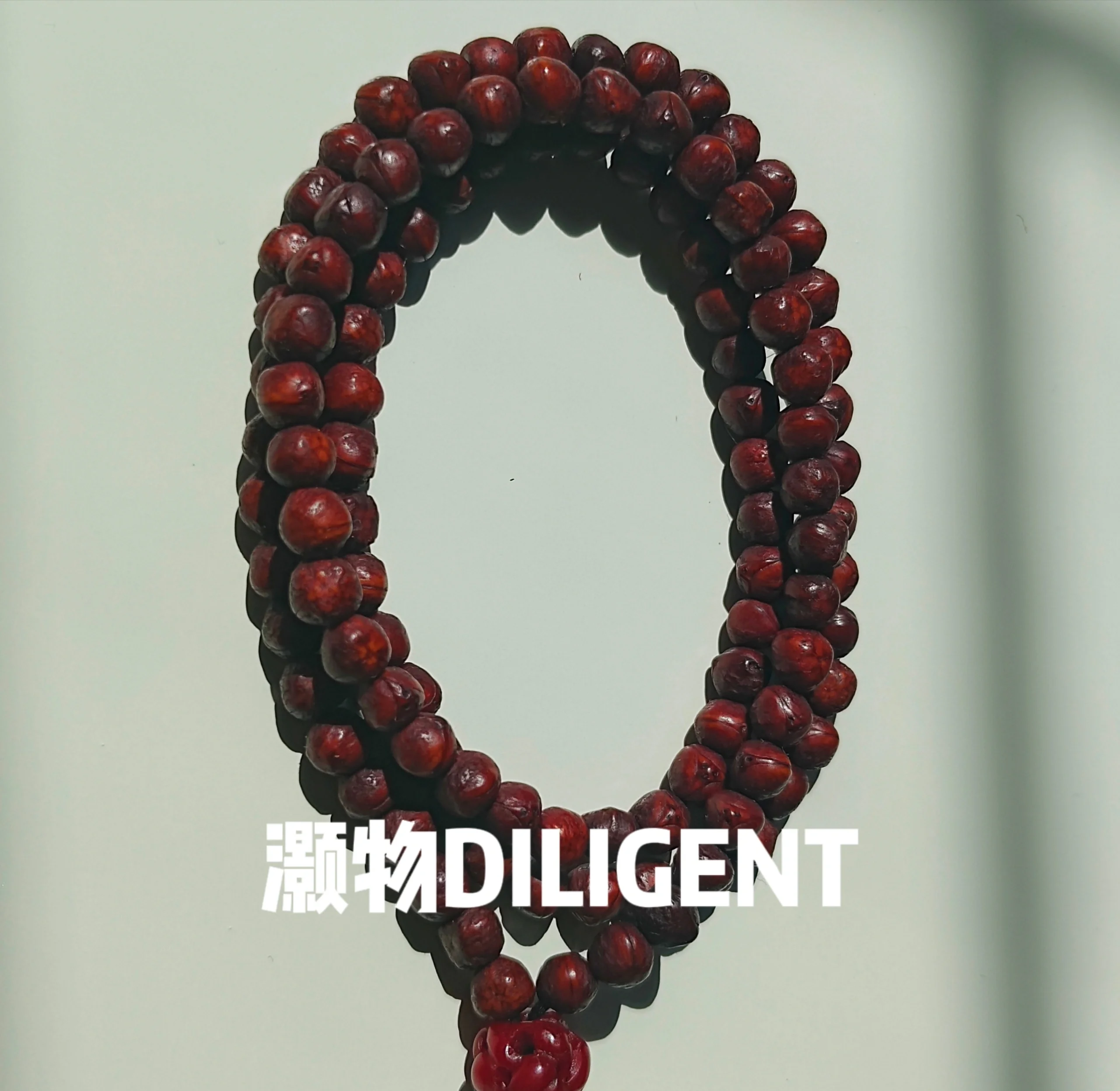 龙眼菩提寓意