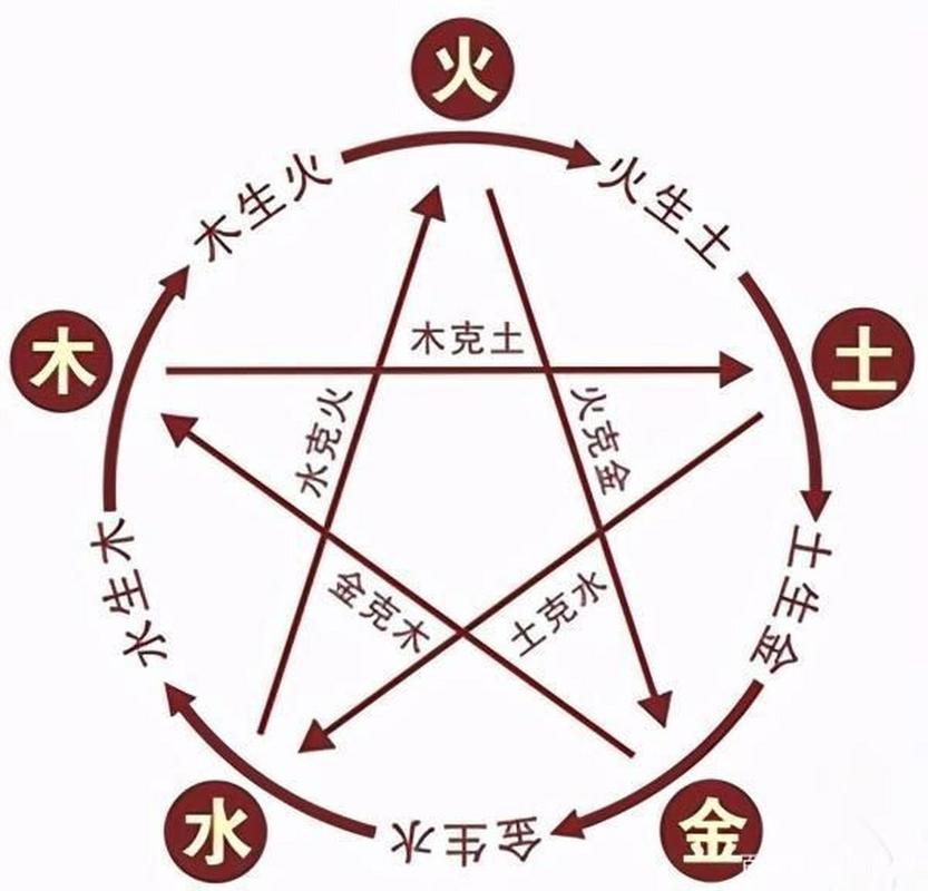 科普展现:植物阴阳风水学（植物 阴阳）