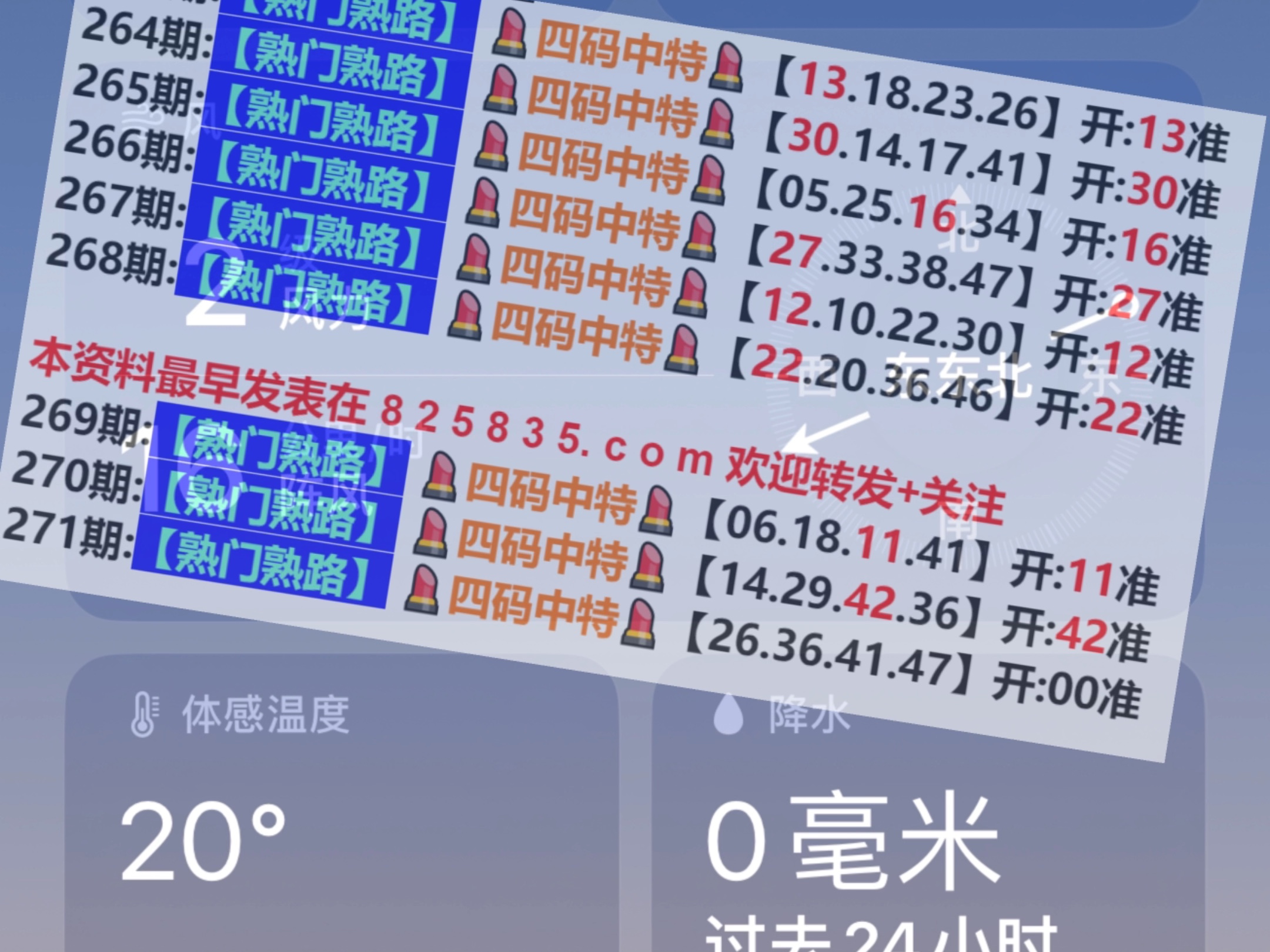 2024奥门正版资料大全免