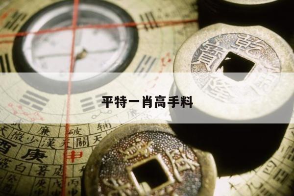 平特一肖高手料