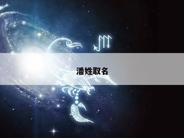 潘姓取名