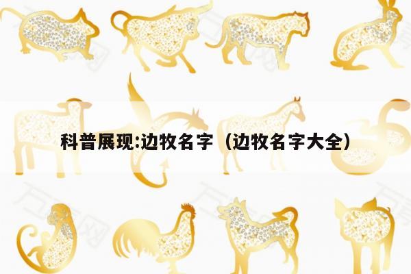 科普展现:边牧名字（边牧名字大全）