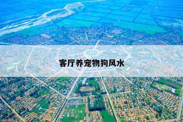 客厅养宠物狗风水