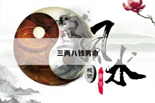 三两八钱男命
