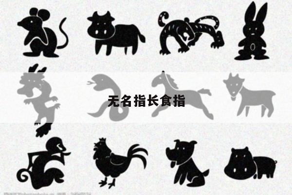 无名指长食指
