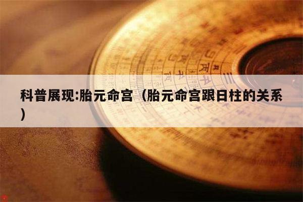 科普展现:胎元命宫（胎元命宫跟日柱的关系）