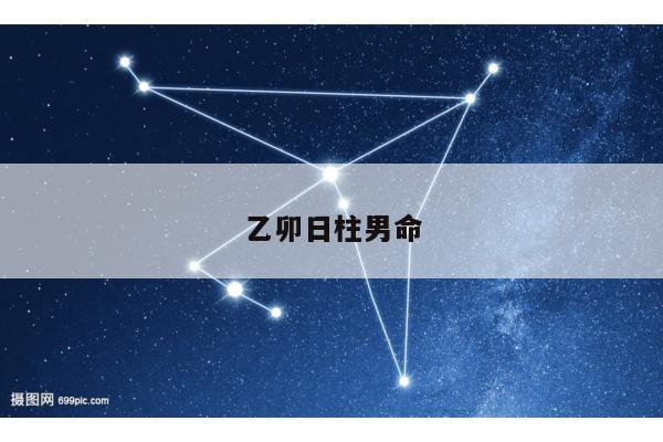 乙卯日柱男命