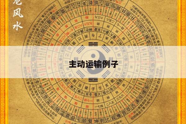 主动运输例子