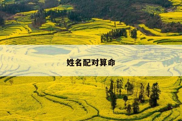 姓名配对算命