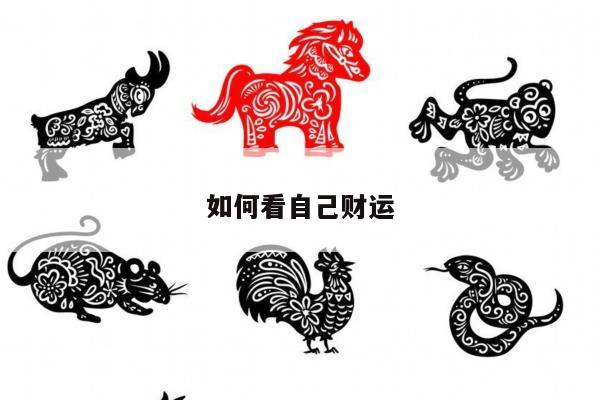 如何看自己财运