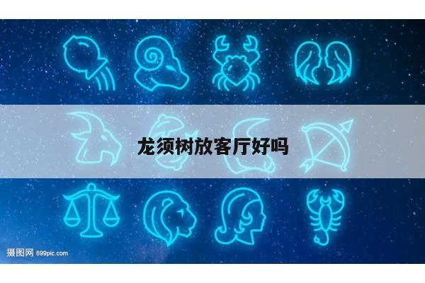 龙须树放客厅好吗