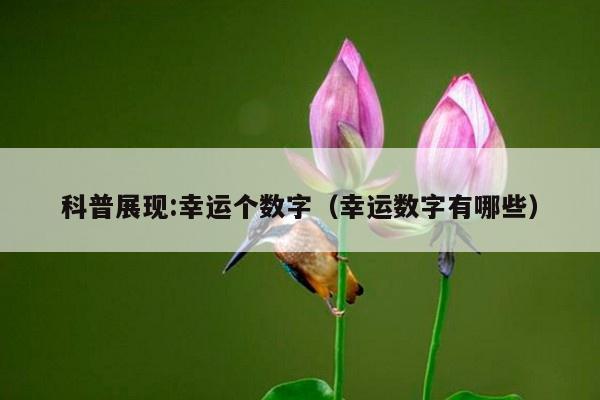 科普展现:幸运个数字（幸运数字有哪些）