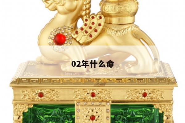 02年什么命