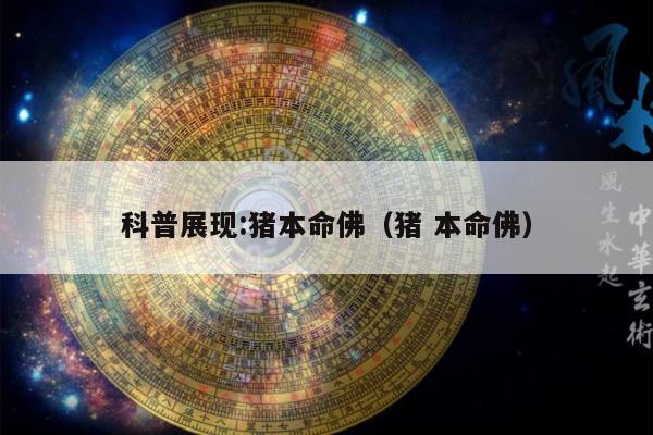 科普展现:猪本命佛（猪 本命佛）