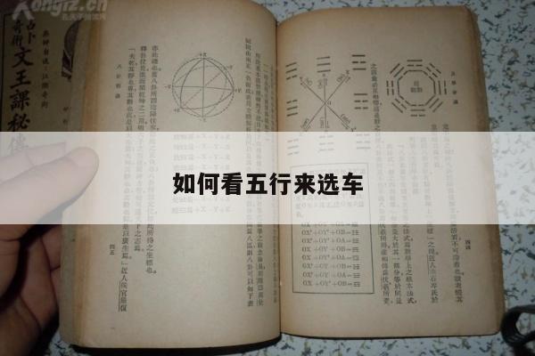 如何看五行来选车