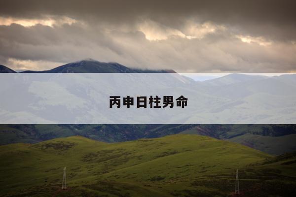丙申日柱男命
