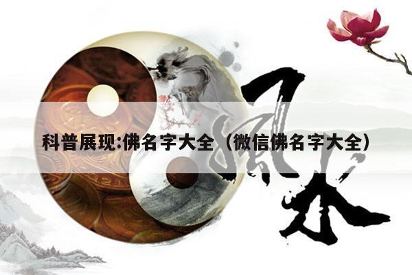 2025年6月5日 第5页