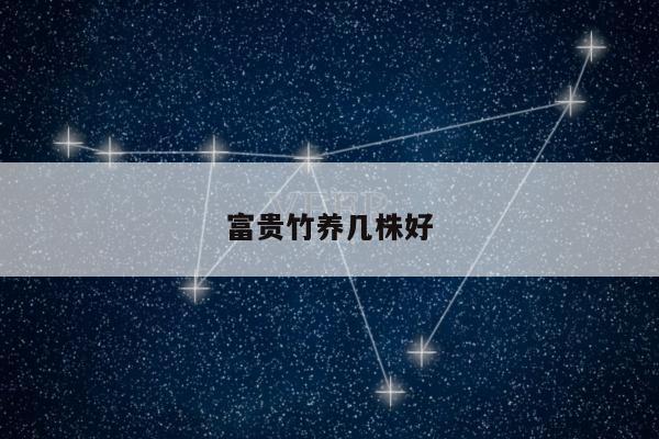 富贵竹养几株好