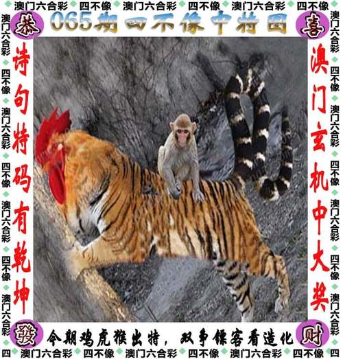澳门马会资料期期准免费大全,
