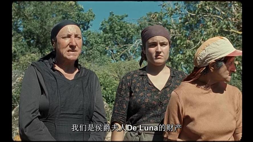 人人爱上我老婆,人人爱上我老婆电影免费观看