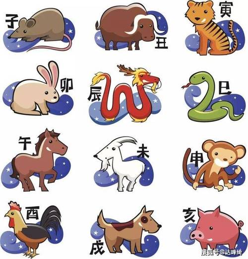 今晚一定出准确生肖,今晚一定出准确生肖最佳答案