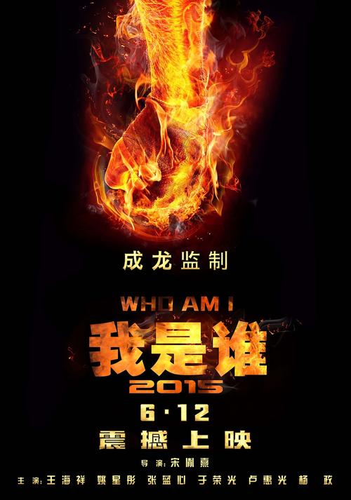 我是谁2015,我是谁2015电影