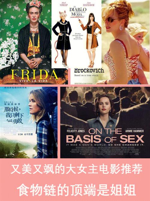 新闻中心 第26页