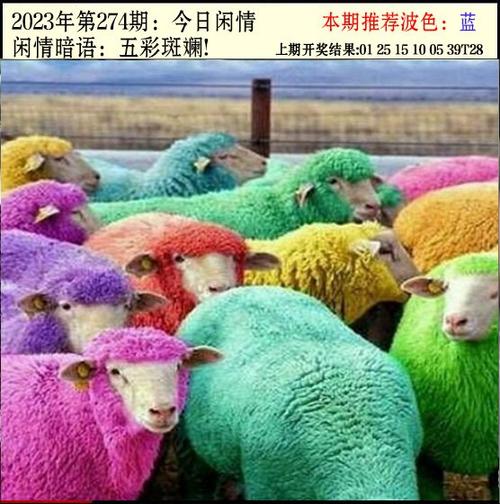 澳门六合财神报,澳门6合财